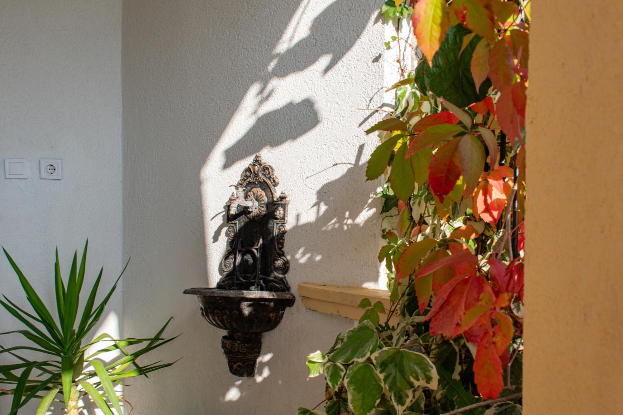 Villa Vojnic Μπούντβα Εξωτερικό φωτογραφία